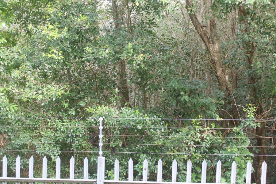 2 Bedroom Property for Sale in Westering Eastern Cape